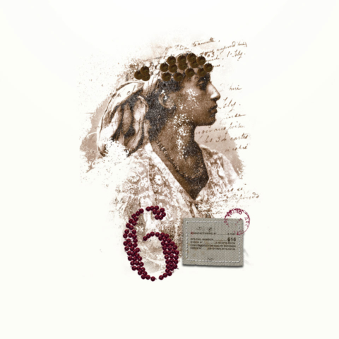 Graphisme textile